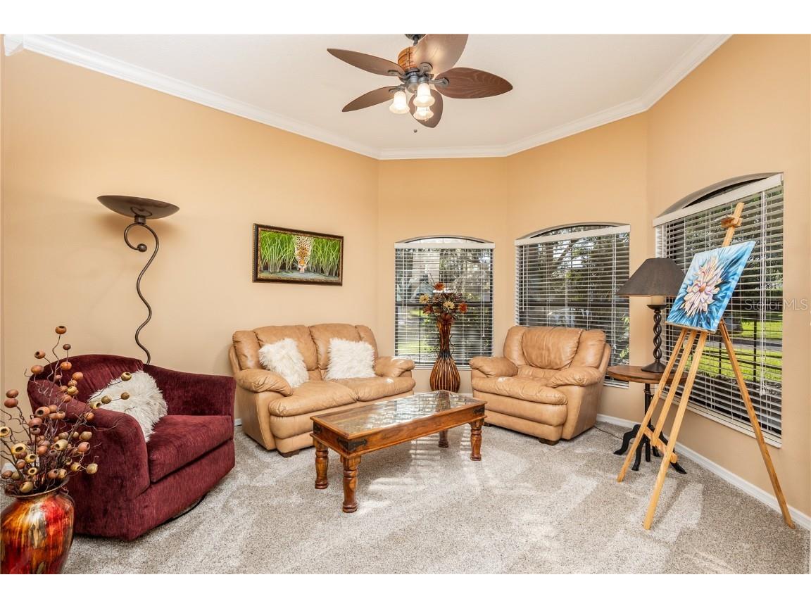 1523 Fishing Lake Drive Odessa FL 33556 - LAKE ANN TB8433629 image18