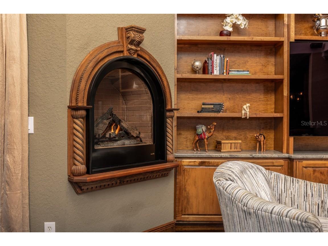 1523 Fishing Lake Drive Odessa FL 33556 - LAKE ANN TB8433629 image21