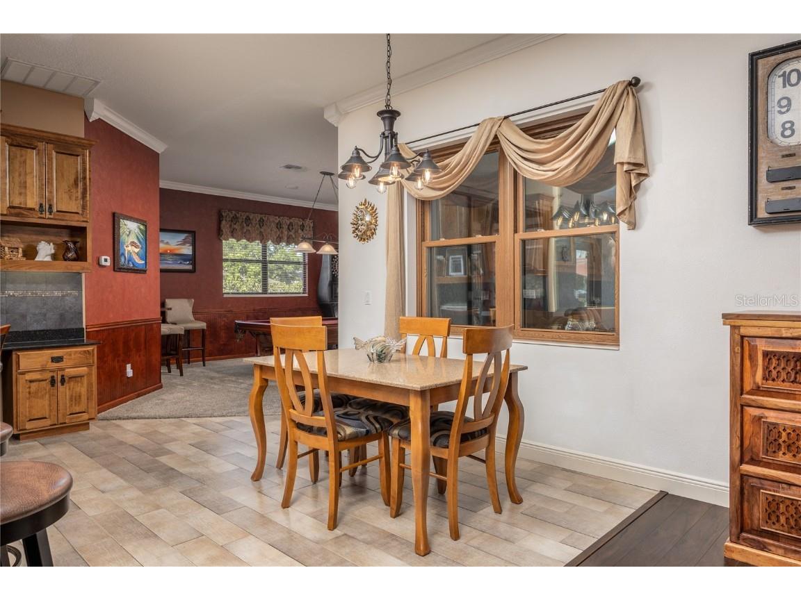 1523 Fishing Lake Drive Odessa FL 33556 - LAKE ANN TB8433629 image22