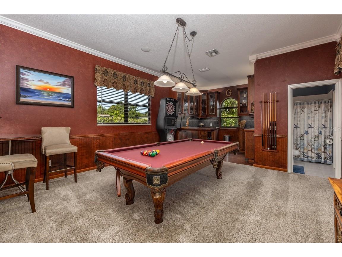 1523 Fishing Lake Drive Odessa FL 33556 - LAKE ANN TB8433629 image23