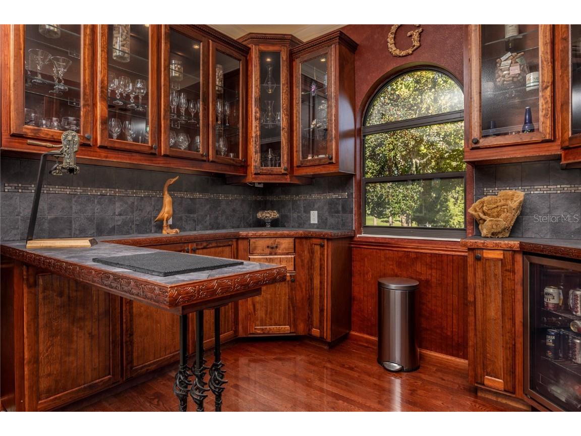 1523 Fishing Lake Drive Odessa FL 33556 - LAKE ANN TB8433629 image25