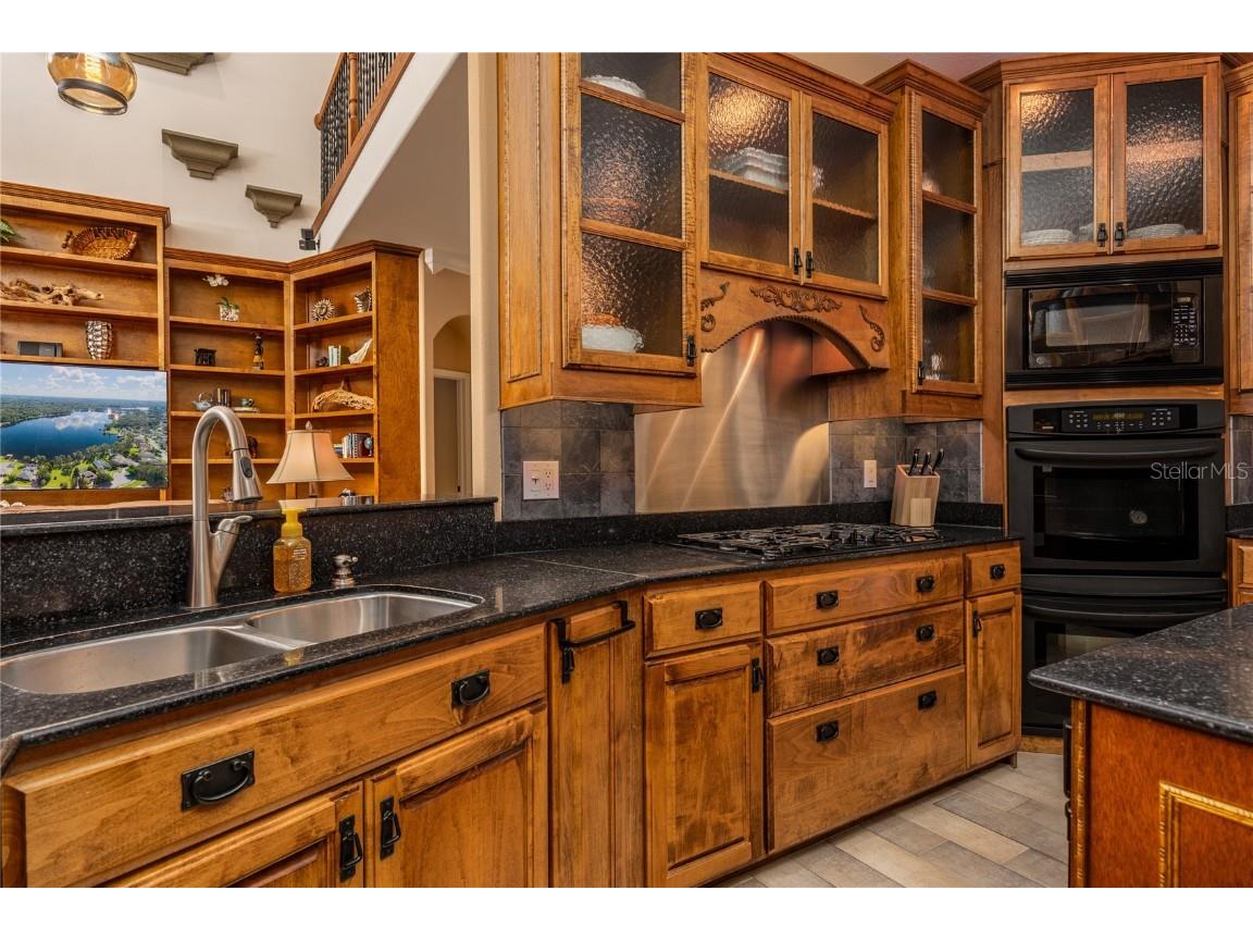 1523 Fishing Lake Drive Odessa FL 33556 - LAKE ANN TB8433629 image28