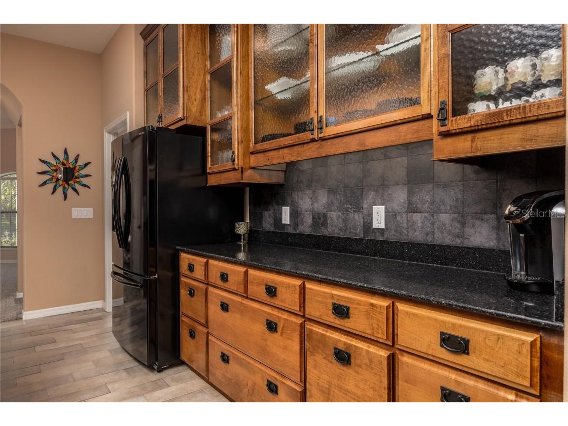 1523 Fishing Lake Drive Odessa FL 33556 - LAKE ANN TB8433629 image29