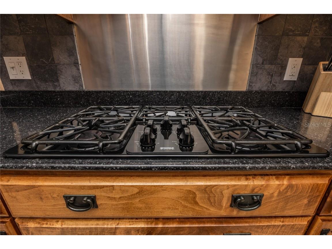 1523 Fishing Lake Drive Odessa FL 33556 - LAKE ANN TB8433629 image30