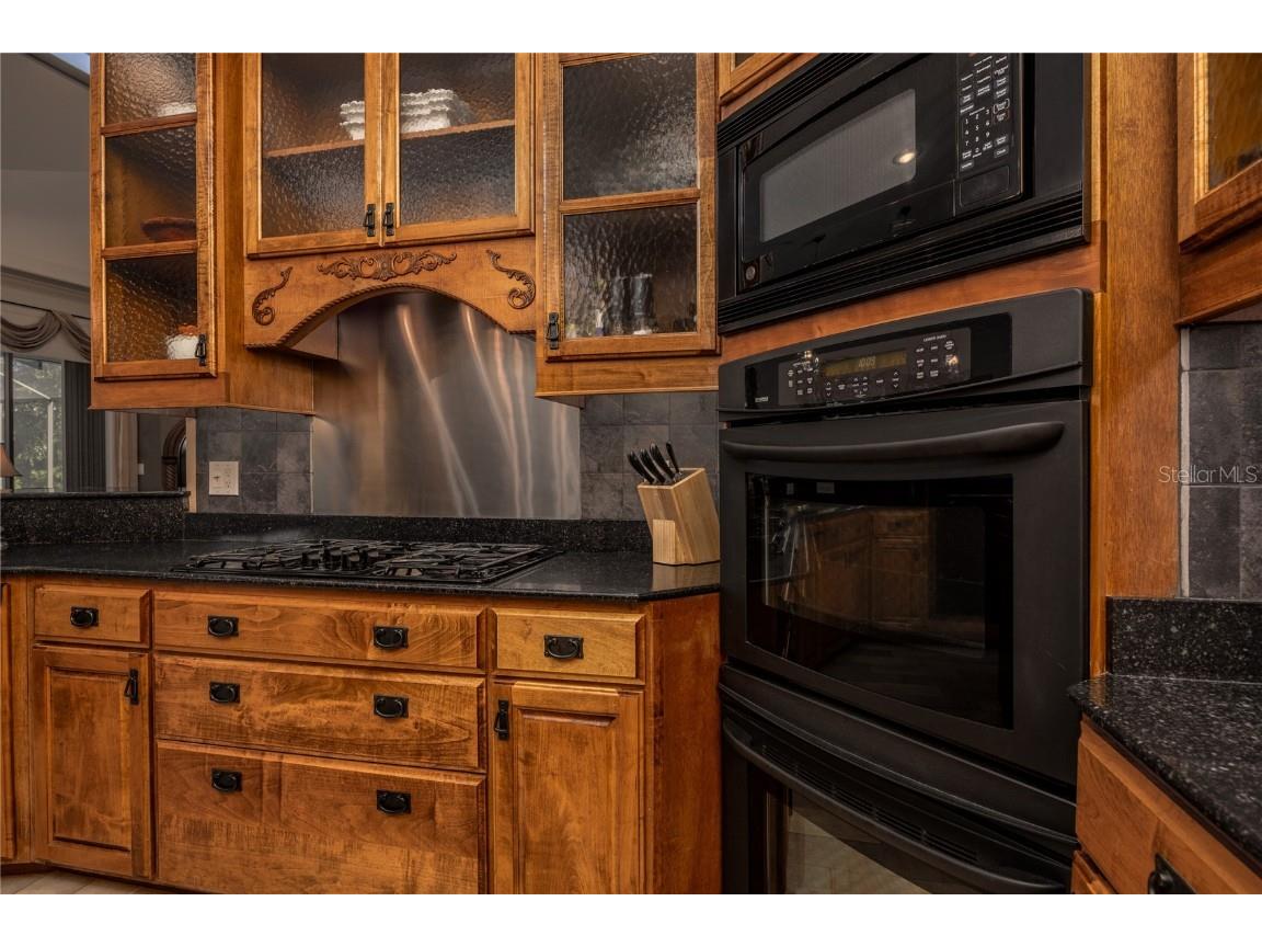 1523 Fishing Lake Drive Odessa FL 33556 - LAKE ANN TB8433629 image31