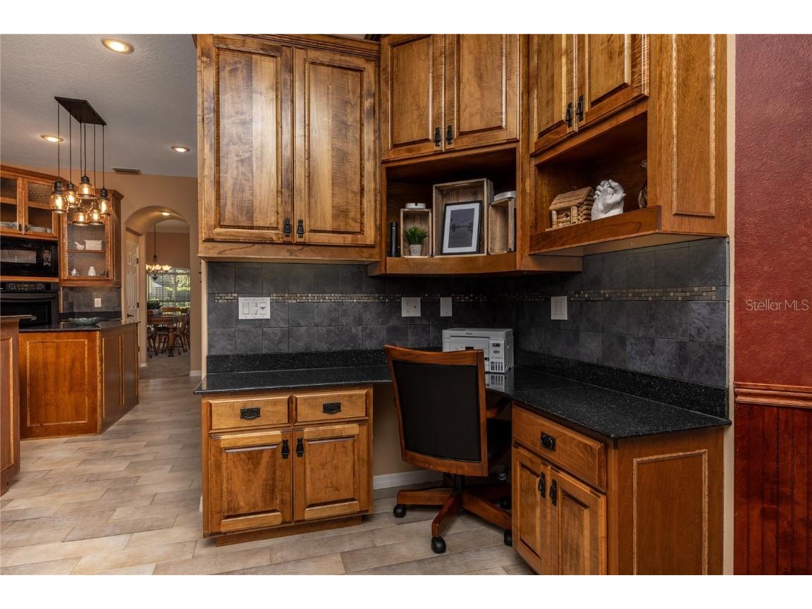 1523 Fishing Lake Drive Odessa FL 33556 - LAKE ANN TB8433629 image33