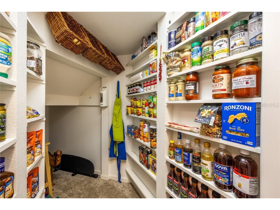 1523 Fishing Lake Drive Odessa FL 33556 - LAKE ANN TB8433629 image35