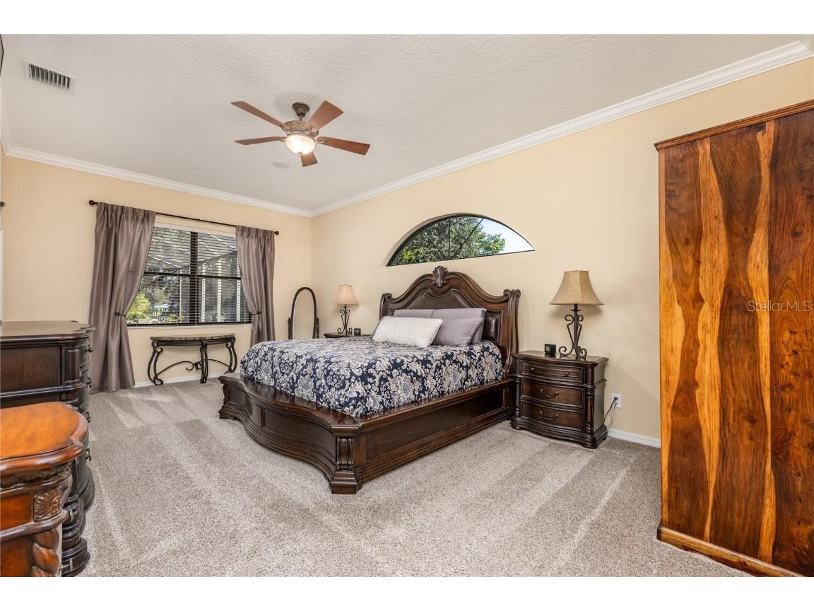 1523 Fishing Lake Drive Odessa FL 33556 - LAKE ANN TB8433629 image36