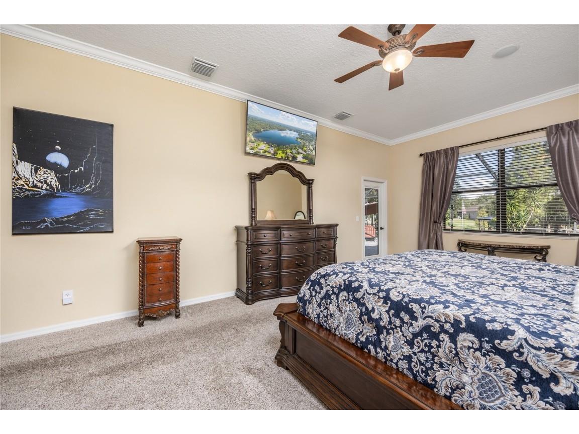 1523 Fishing Lake Drive Odessa FL 33556 - LAKE ANN TB8433629 image37