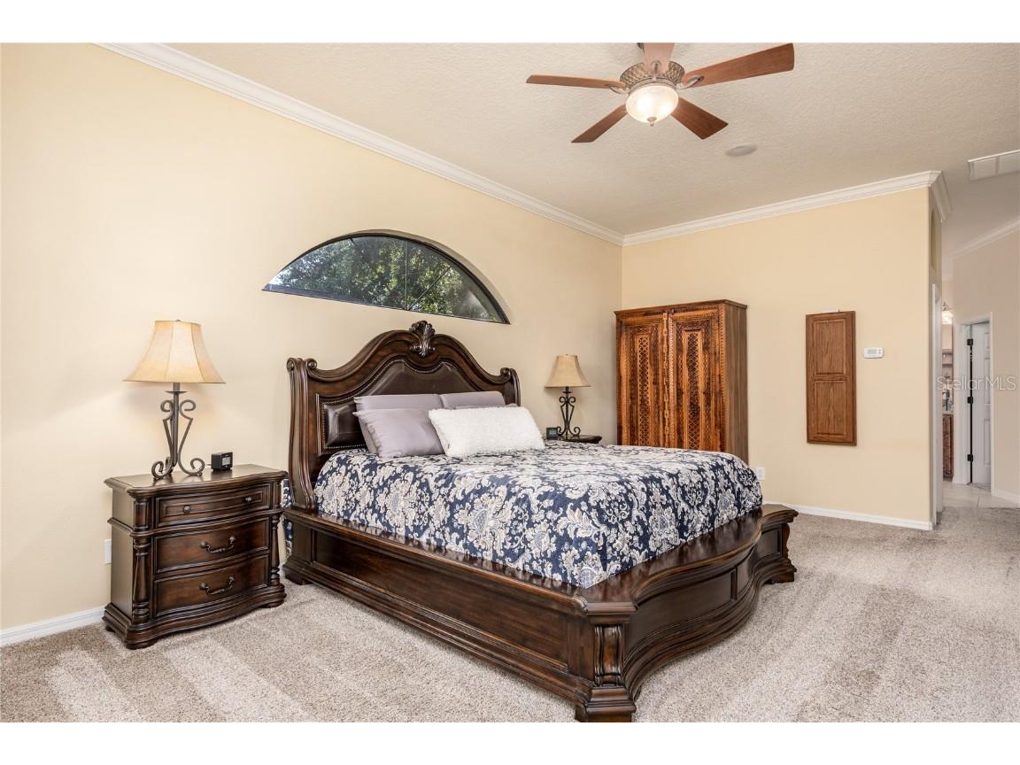 1523 Fishing Lake Drive Odessa FL 33556 - LAKE ANN TB8433629 image38