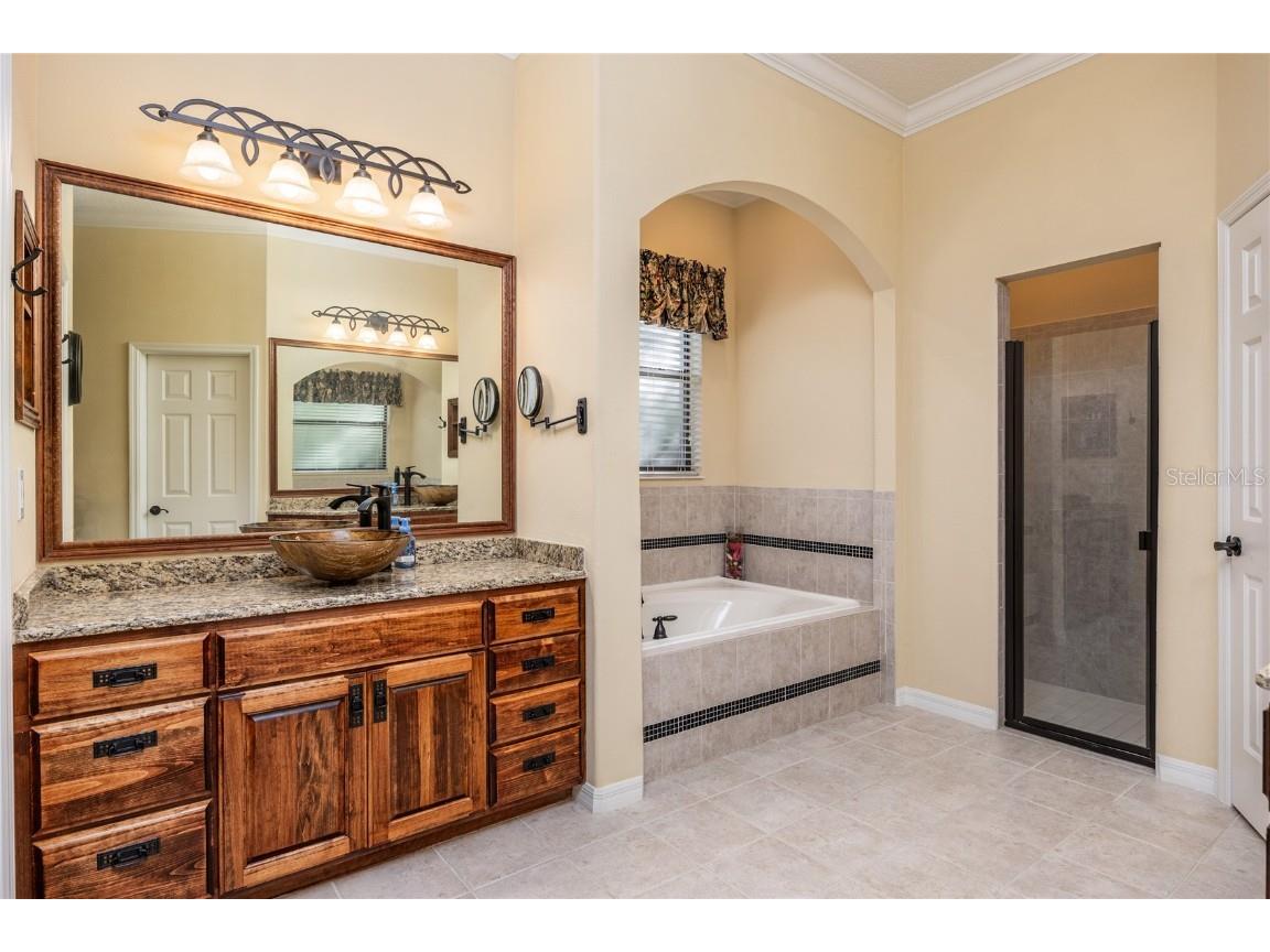 1523 Fishing Lake Drive Odessa FL 33556 - LAKE ANN TB8433629 image39