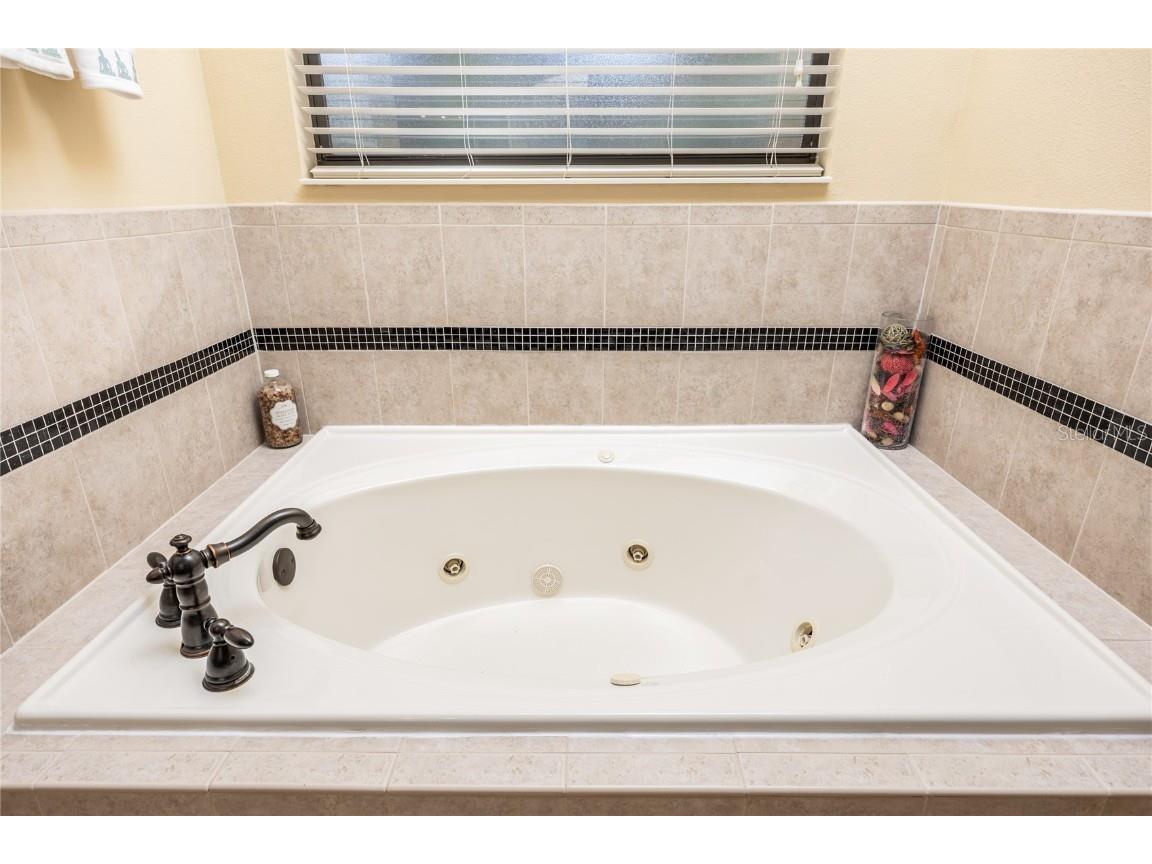 1523 Fishing Lake Drive Odessa FL 33556 - LAKE ANN TB8433629 image41