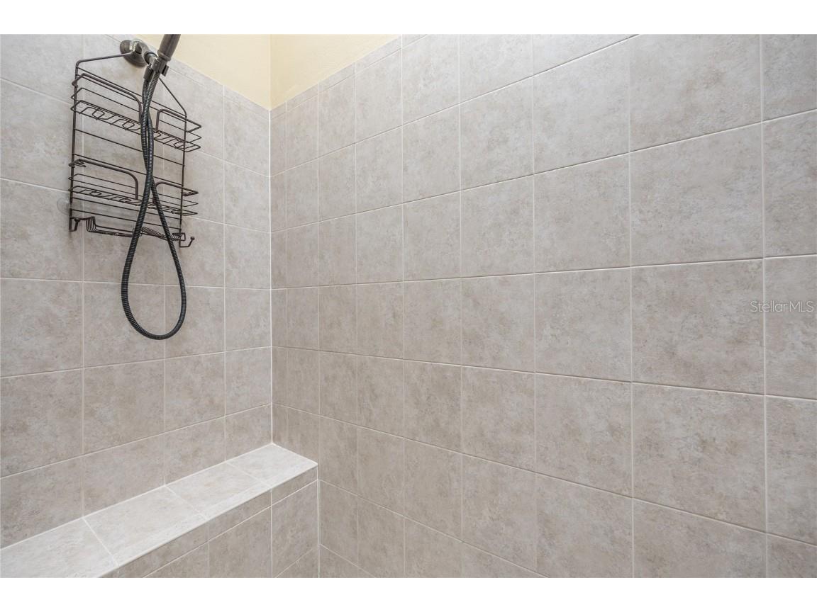 1523 Fishing Lake Drive Odessa FL 33556 - LAKE ANN TB8433629 image42