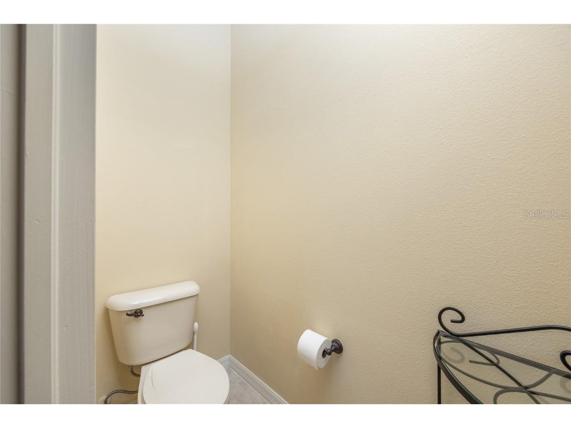 1523 Fishing Lake Drive Odessa FL 33556 - LAKE ANN TB8433629 image45