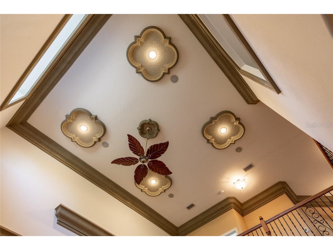 1523 Fishing Lake Drive Odessa FL 33556 - LAKE ANN TB8433629 image46