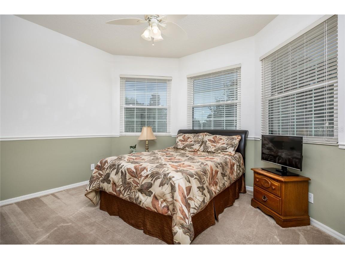 1523 Fishing Lake Drive Odessa FL 33556 - LAKE ANN TB8433629 image48