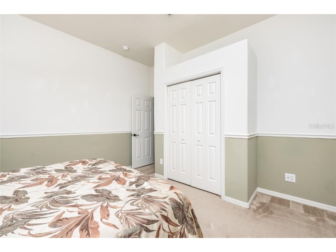 1523 Fishing Lake Drive Odessa FL 33556 - LAKE ANN TB8433629 image49