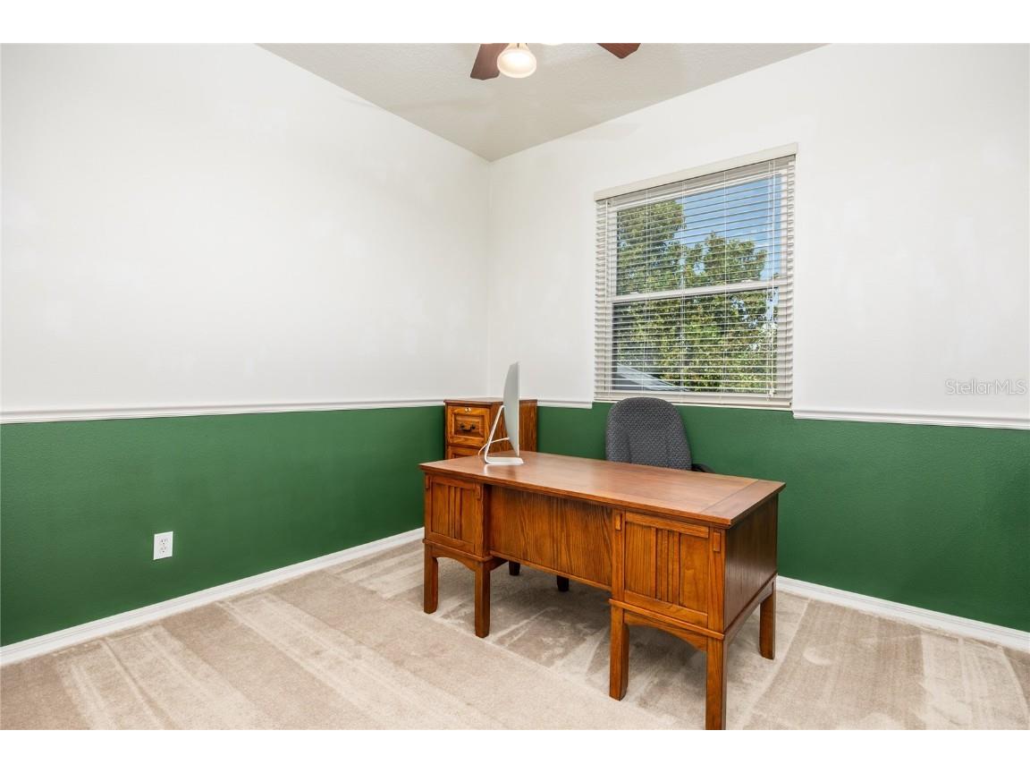 1523 Fishing Lake Drive Odessa FL 33556 - LAKE ANN TB8433629 image52