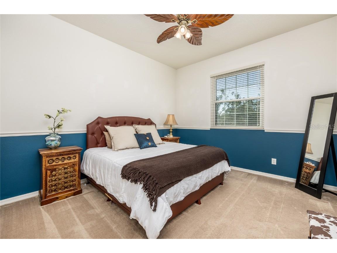 1523 Fishing Lake Drive Odessa FL 33556 - LAKE ANN TB8433629 image55