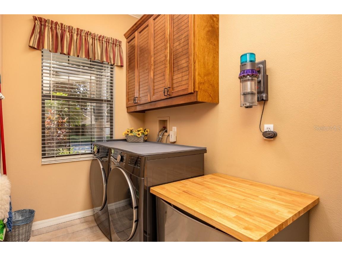 1523 Fishing Lake Drive Odessa FL 33556 - LAKE ANN TB8433629 image58