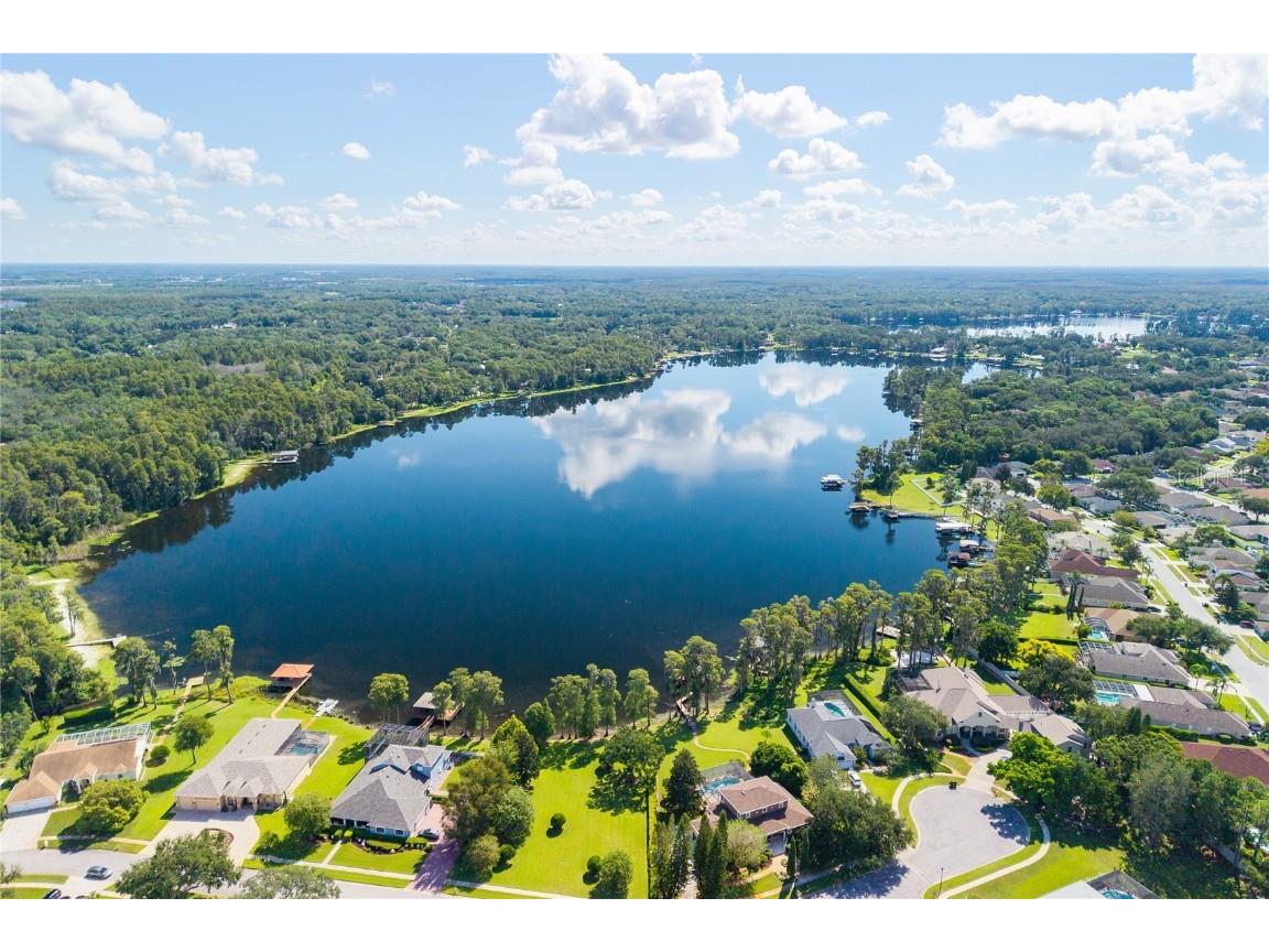 1523 Fishing Lake Drive Odessa FL 33556 - LAKE ANN TB8433629 image6