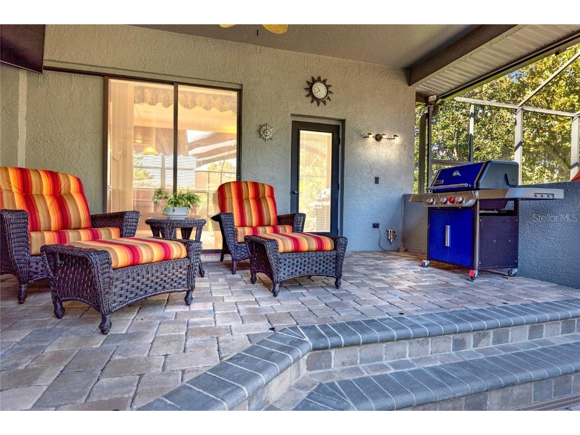 1523 Fishing Lake Drive Odessa FL 33556 - LAKE ANN TB8433629 image61