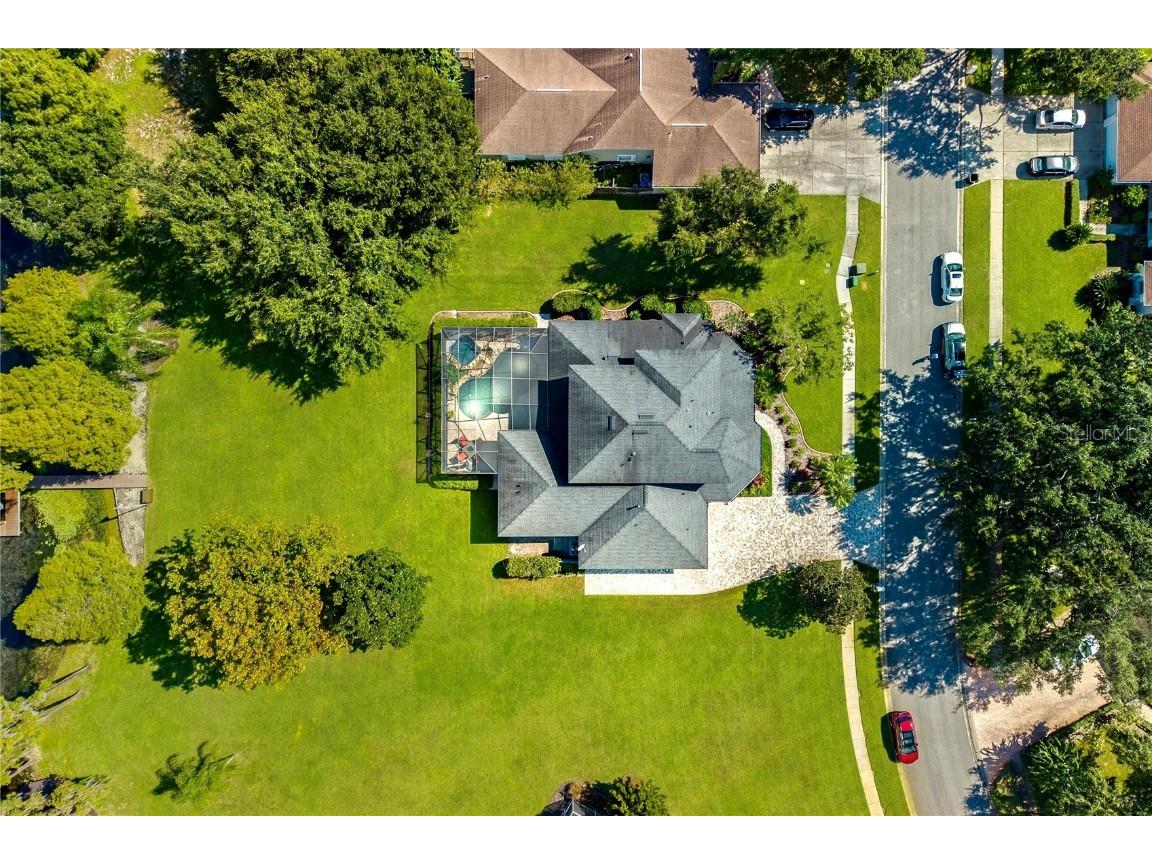 1523 Fishing Lake Drive Odessa FL 33556 - LAKE ANN TB8433629 image73