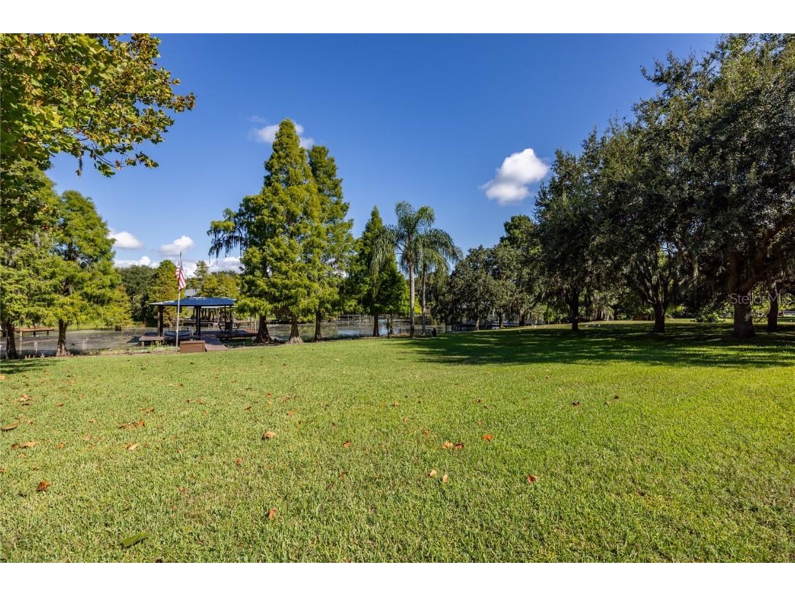 1523 Fishing Lake Drive Odessa FL 33556 - LAKE ANN TB8433629 image76