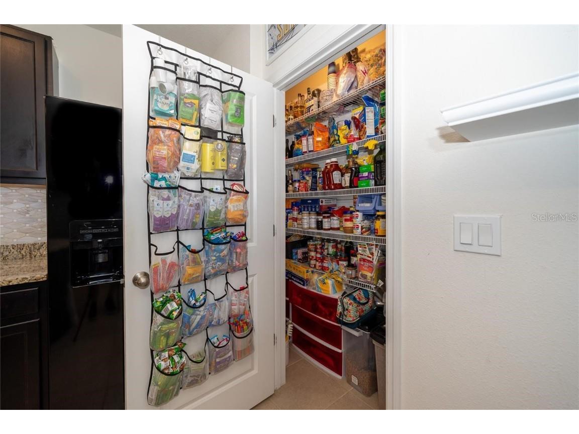 1523 Glen Grove Loop Wesley Chapel FL 33543 TB8447170 image20