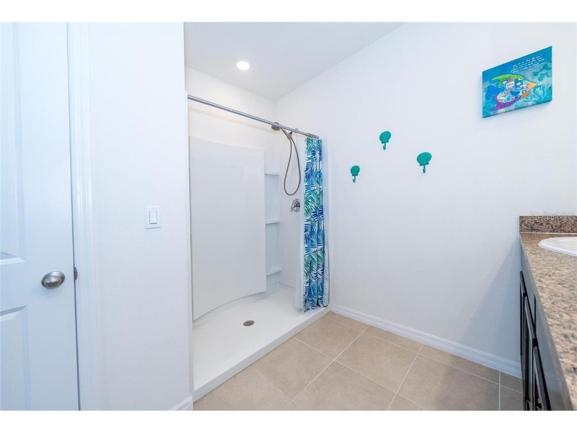 1523 Glen Grove Loop Wesley Chapel FL 33543 TB8447170 image26