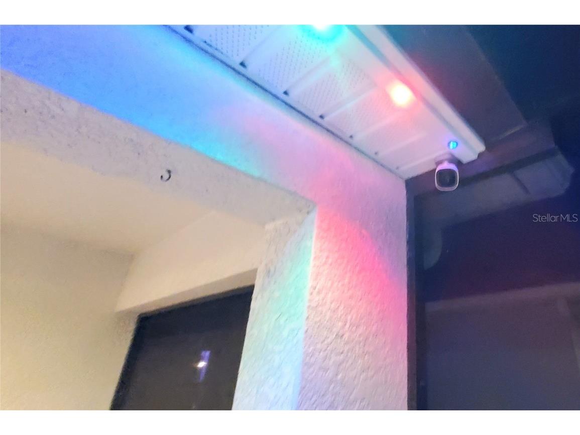 1523 Glen Grove Loop Wesley Chapel FL 33543 TB8447170 image40