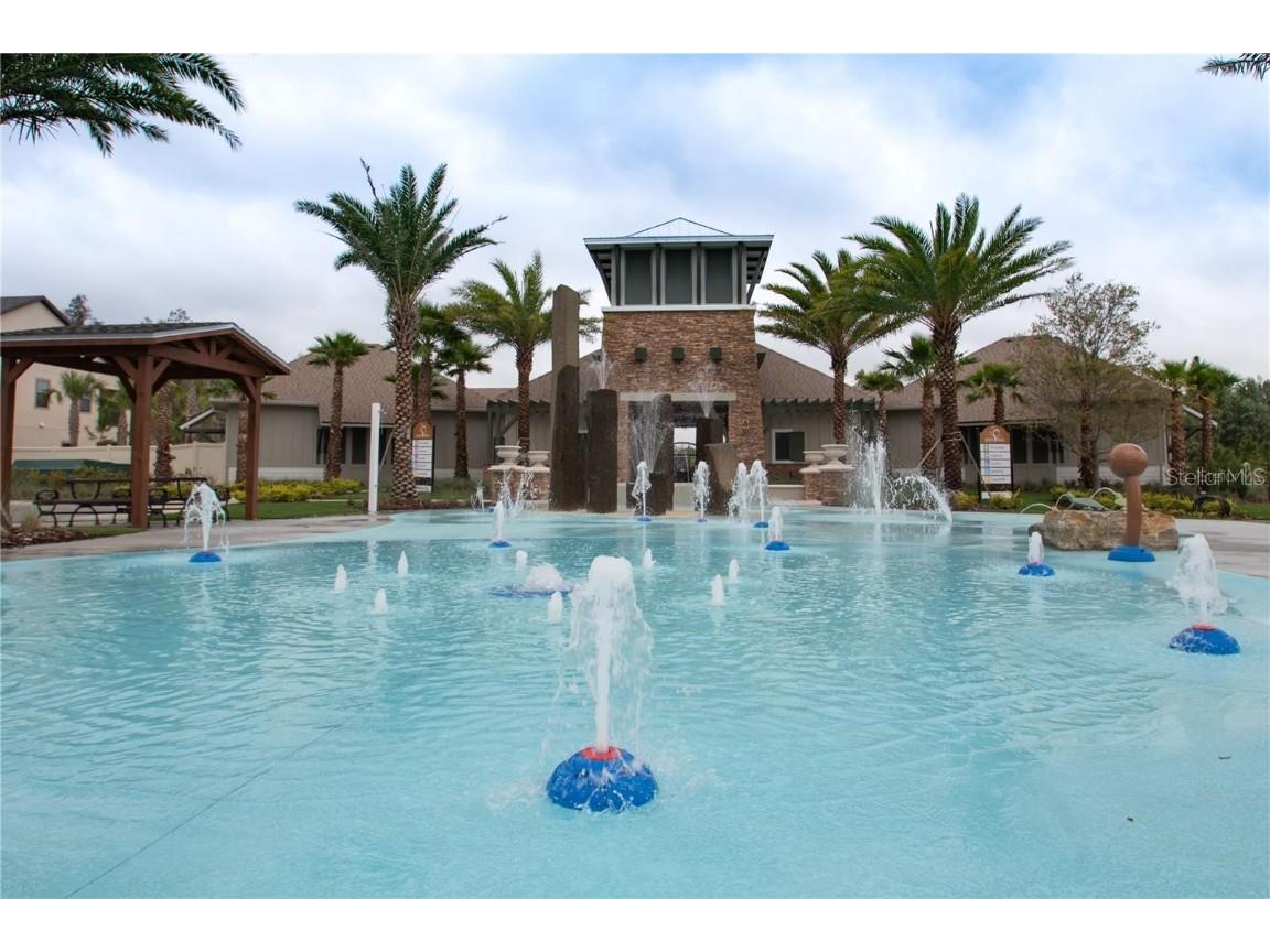 1523 Glen Grove Loop Wesley Chapel FL 33543 TB8447170 image48