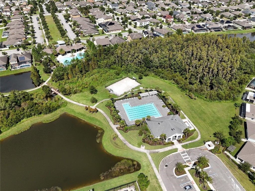 1523 Glen Grove Loop Wesley Chapel FL 33543 TB8447170 image55