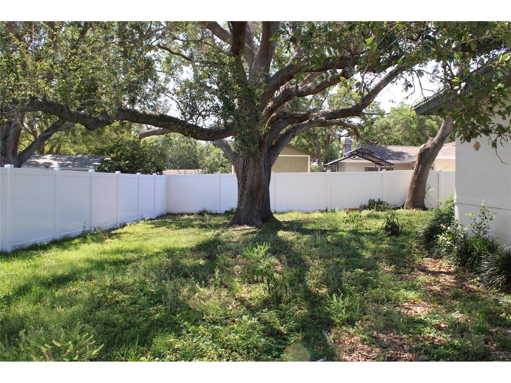 1523 S Fredrica Avenue Clearwater FL 33756 TB8504492 image8