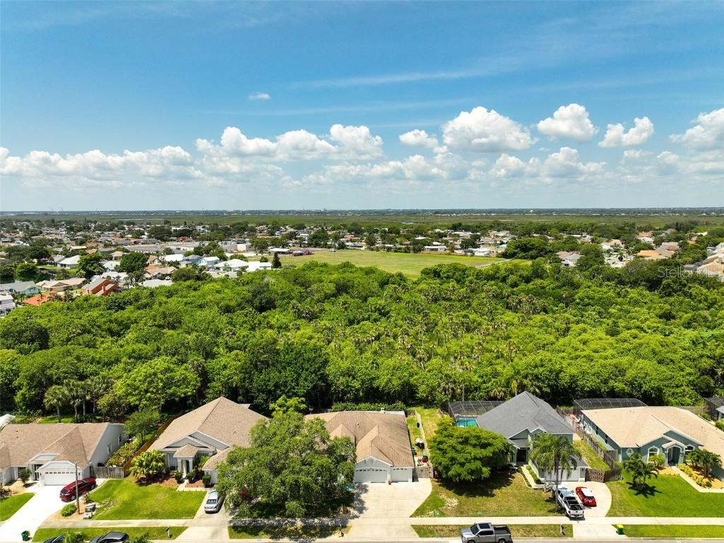 1523 Stafford Avenue Merritt Island FL 32952 S5127565 image51