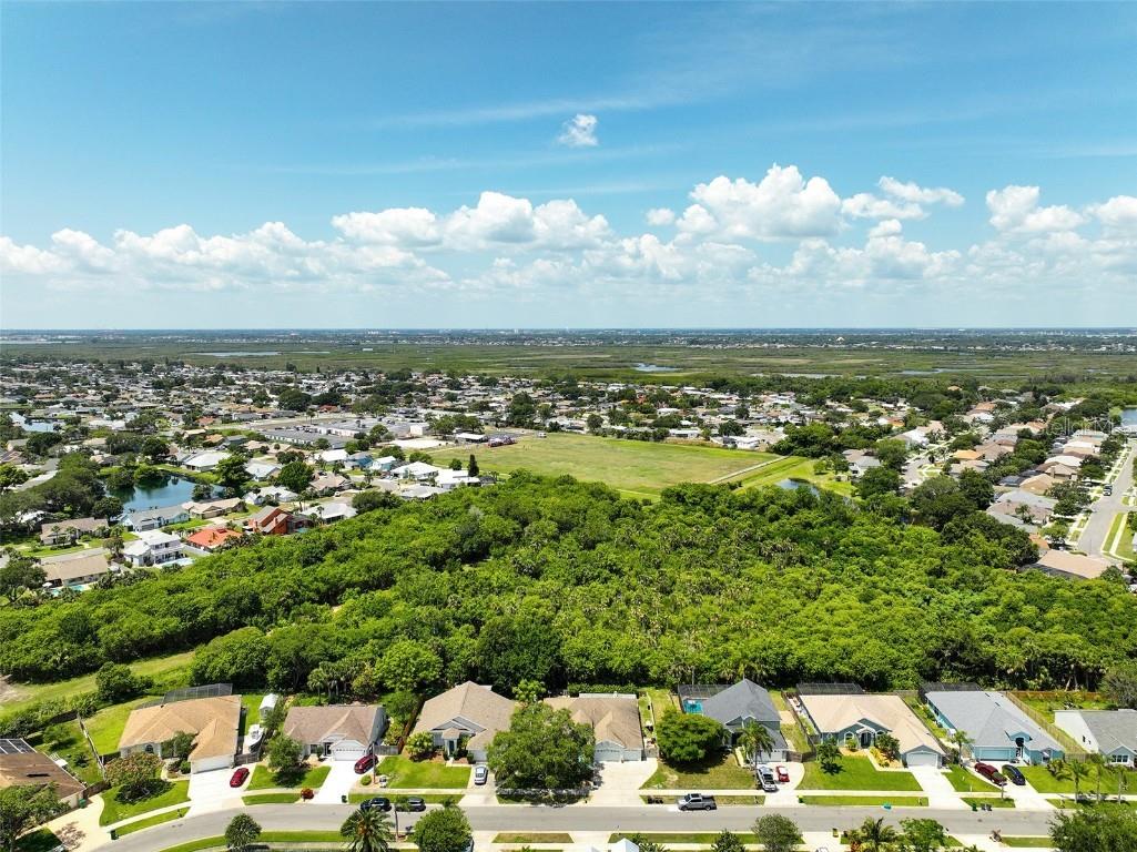 1523 Stafford Avenue Merritt Island FL 32952 S5127565 image63