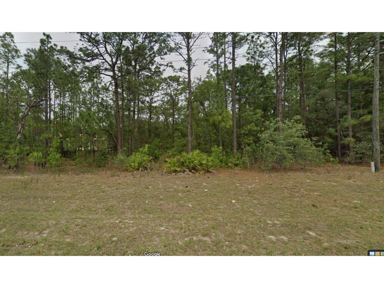 1523 W Citrus Springs Boulevard Citrus Springs FL 34434 V4933193 image1