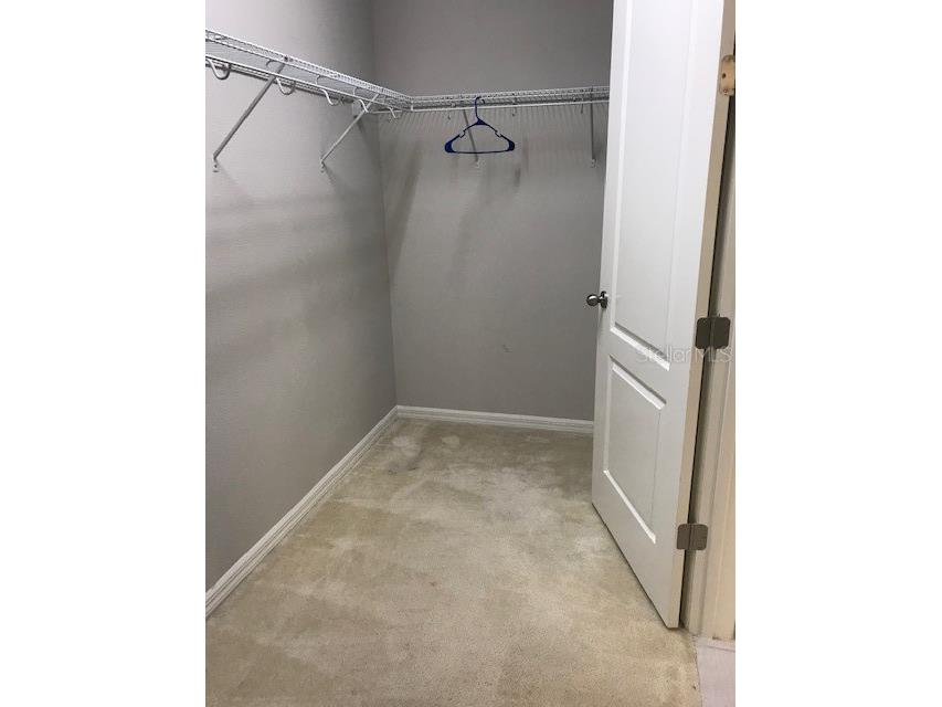 15231 Honeybell Drive Winter Garden FL 34787 S5111714 image11