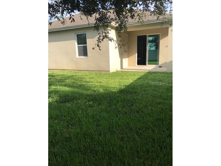 15231 Honeybell Drive Winter Garden FL 34787 S5111714 image18