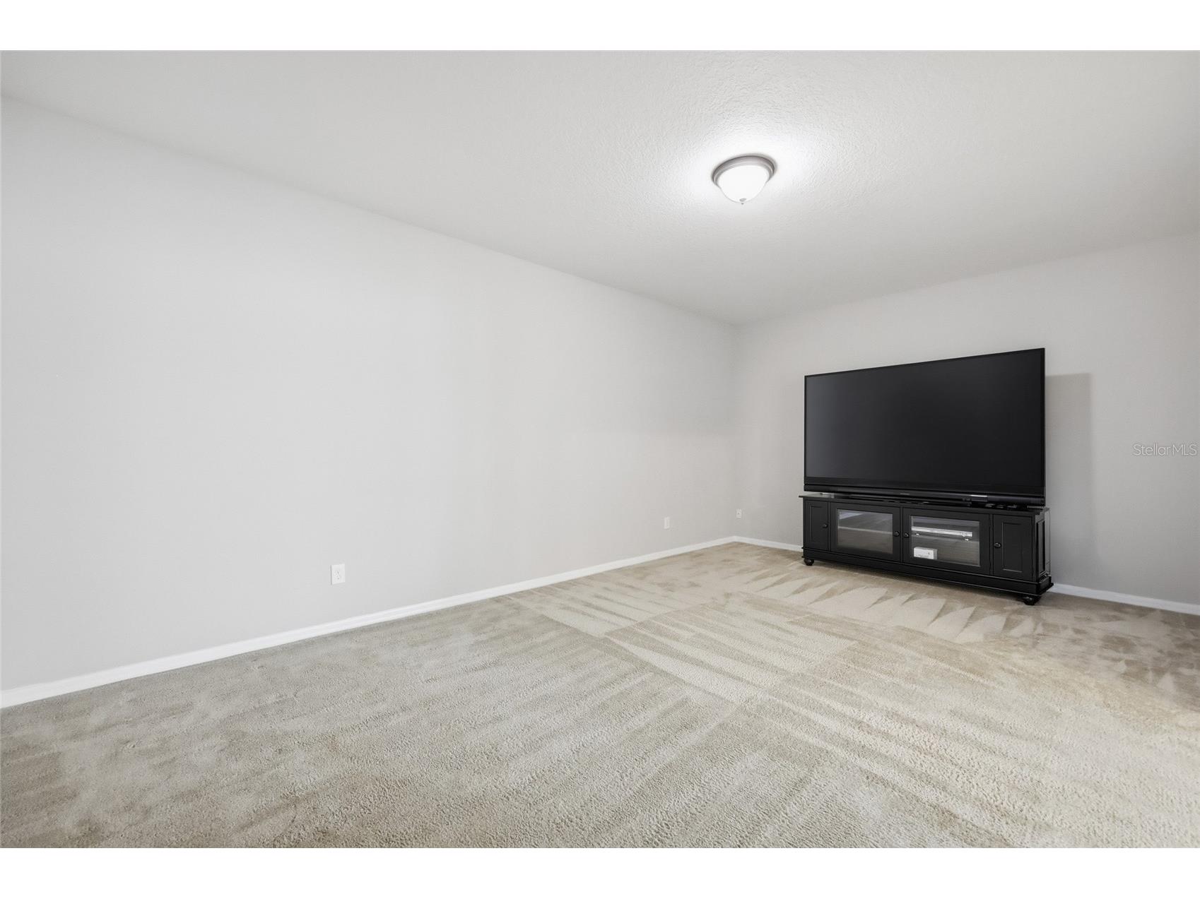 15232 Firelight Drive Winter Garden FL 34787 O6408025 image48