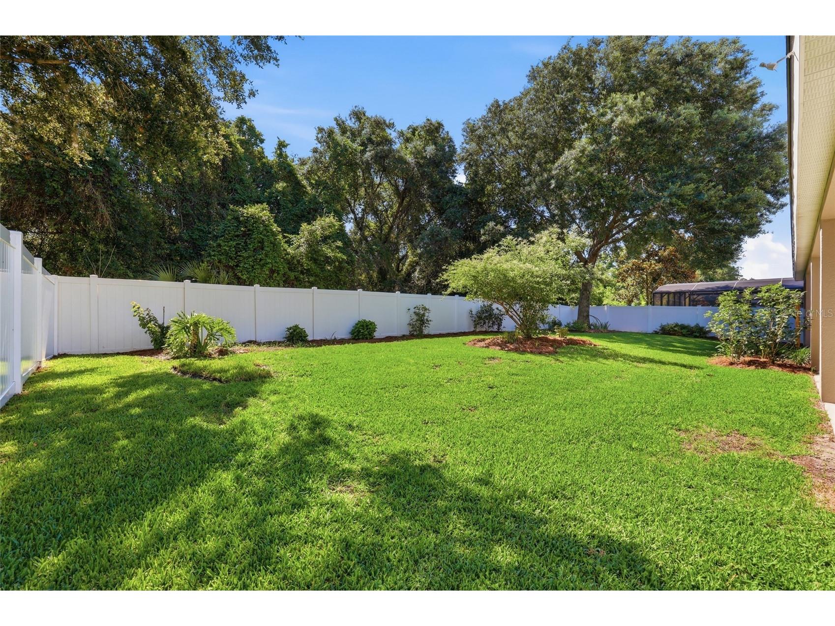 15232 Firelight Drive Winter Garden FL 34787 O6408025 image62
