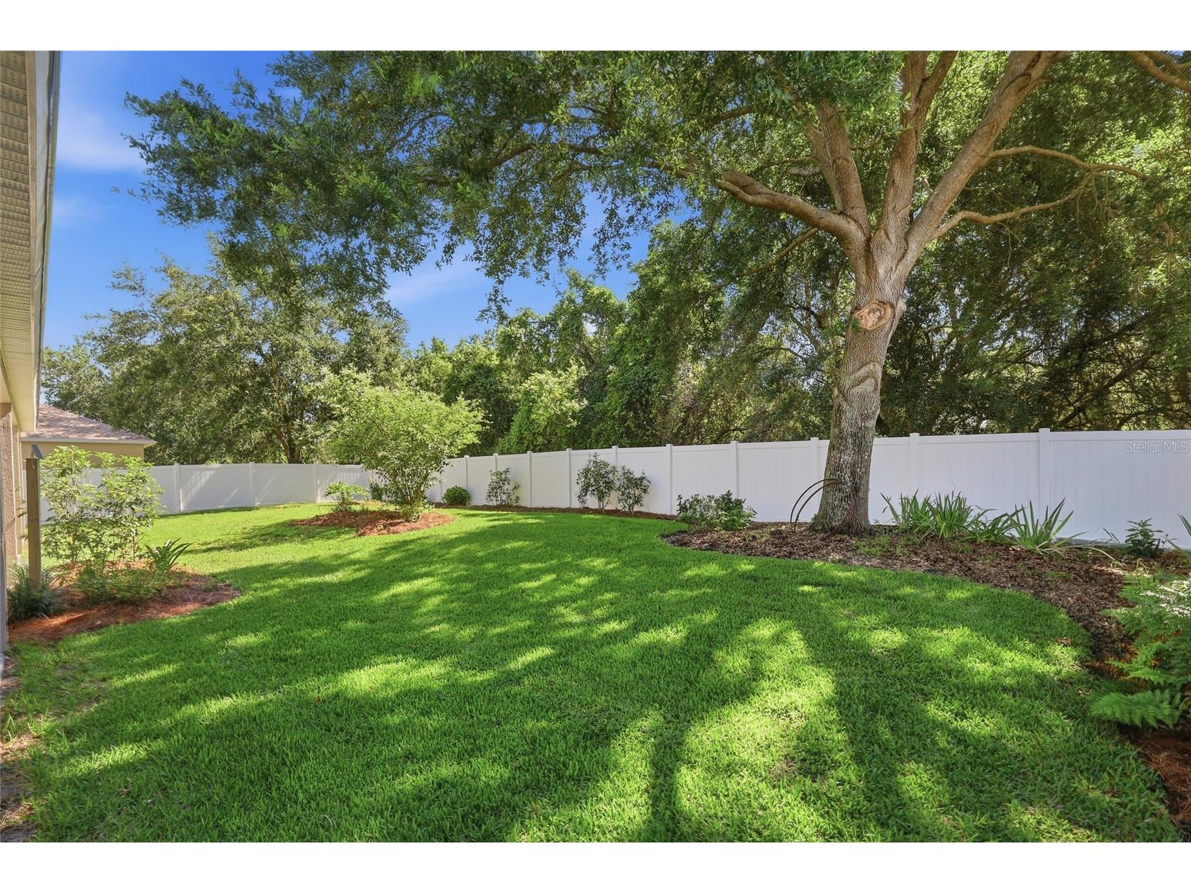 15232 Firelight Drive Winter Garden FL 34787 O6408025 image63