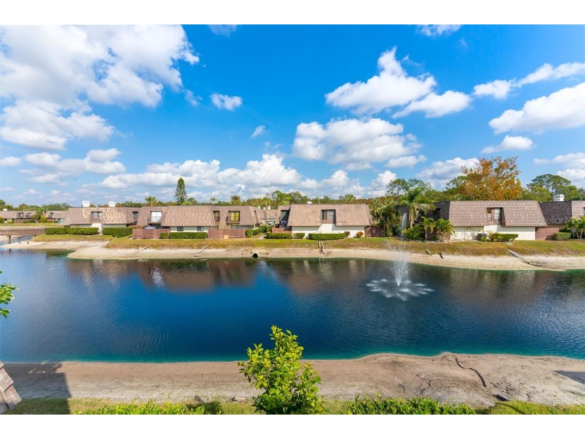 15233 W Pond Woods Drive #404 Tampa FL 33618 TB8446986 image29