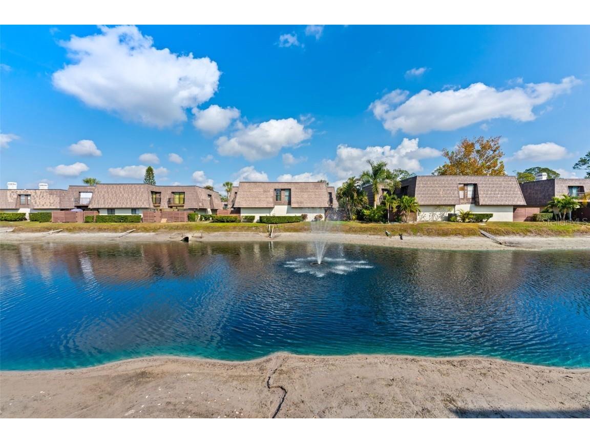 15233 W Pond Woods Drive #404 Tampa FL 33618 TB8446986 image4