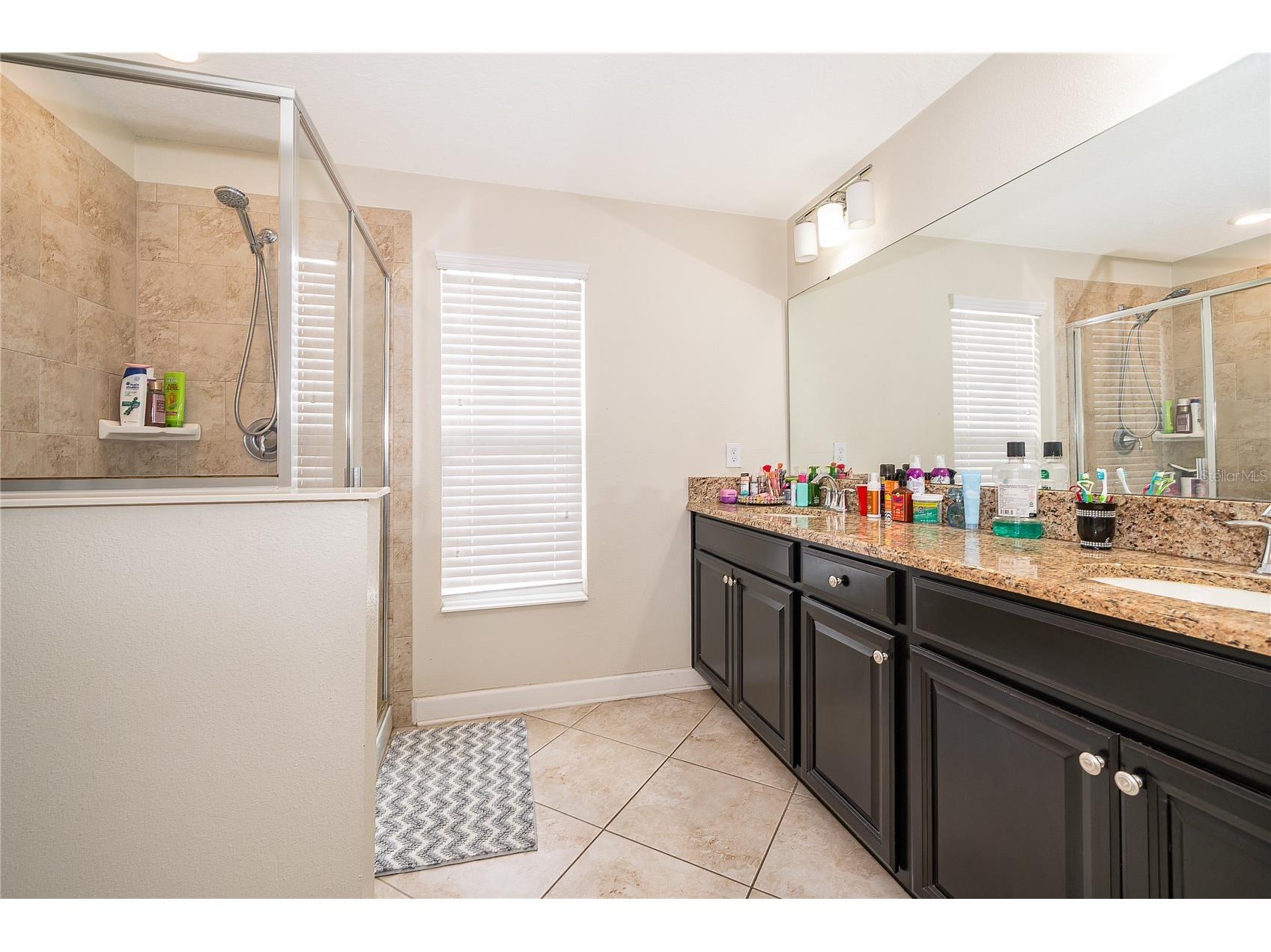 15234 Harrington Cove Drive Orlando FL 32824 S5146441 image19