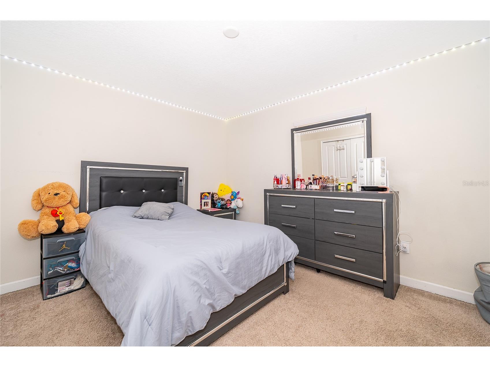 15234 Harrington Cove Drive Orlando FL 32824 S5146441 image21