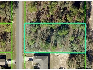 15234 Pomp Parkway Weeki Wachee FL 34614 W7876059 image1