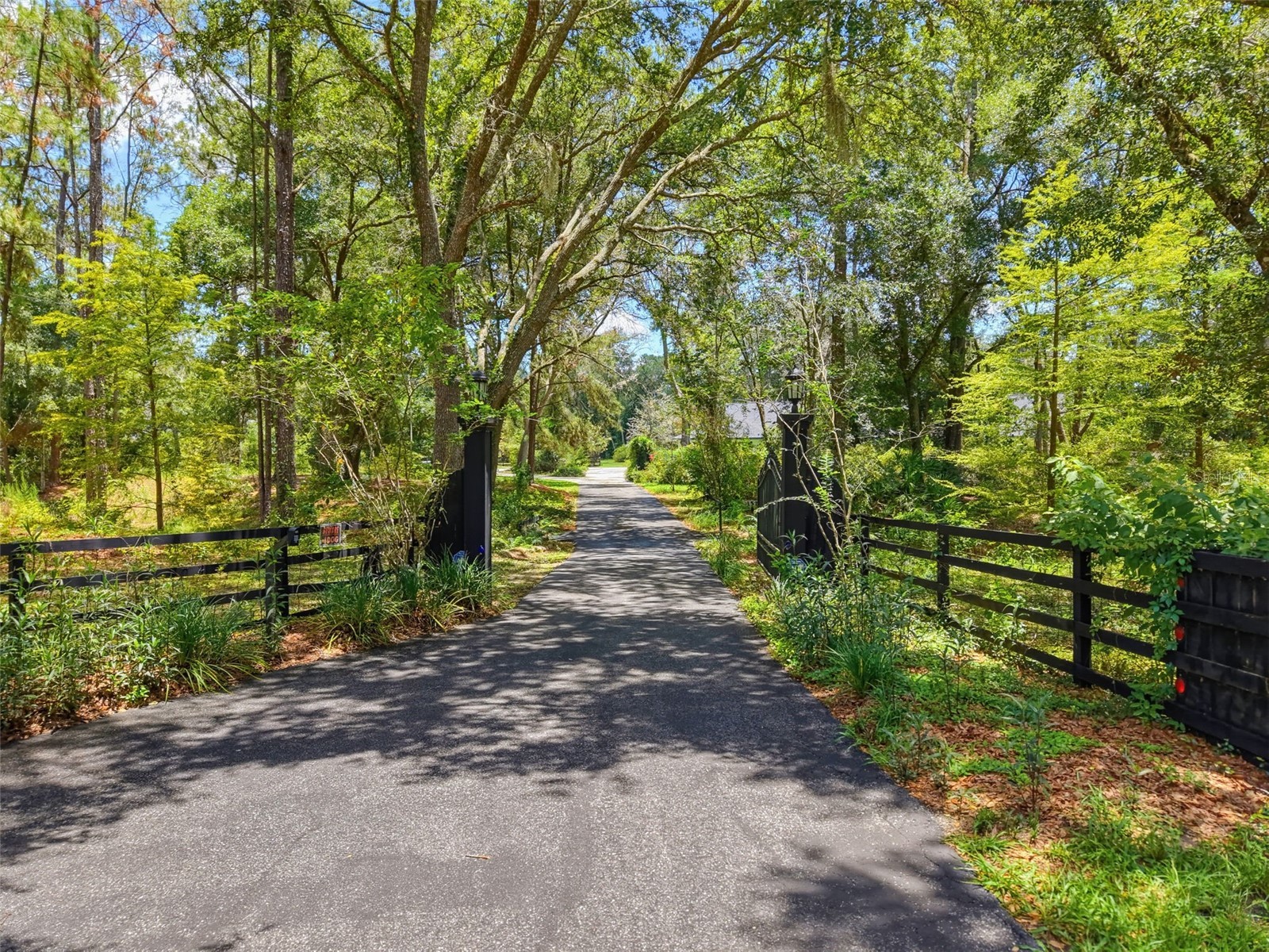 15234 Scanio Spring Hill FL 34610 W7887686 image11
