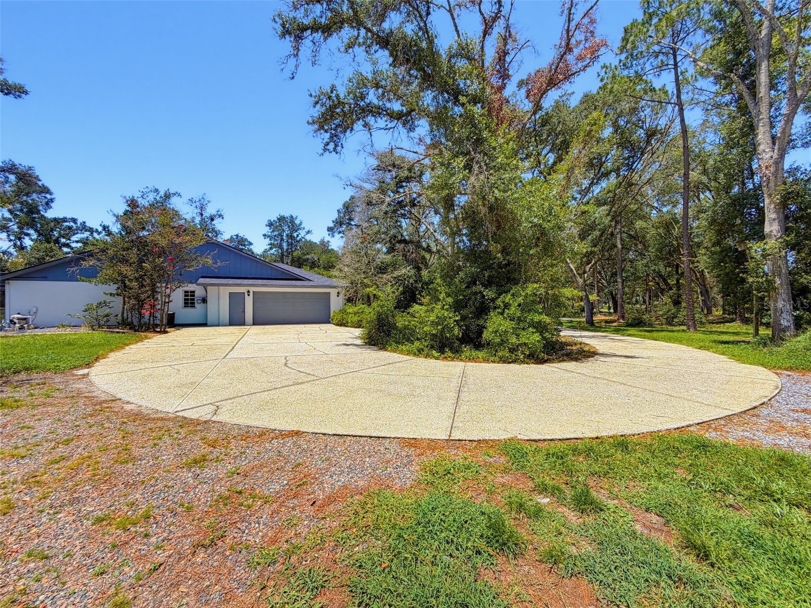 15234 Scanio Spring Hill FL 34610 W7887686 image6
