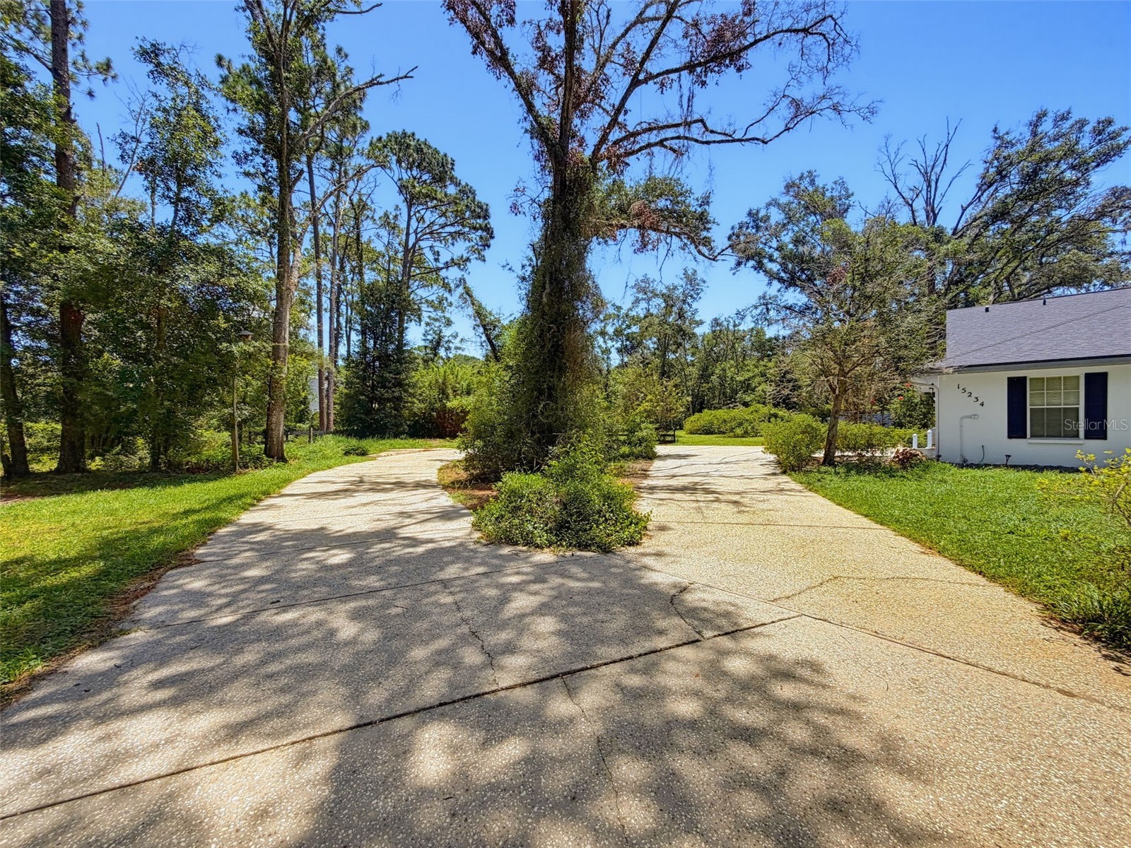 15234 Scanio Spring Hill FL 34610 W7887686 image7